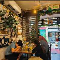 Calanthe Art Cafe