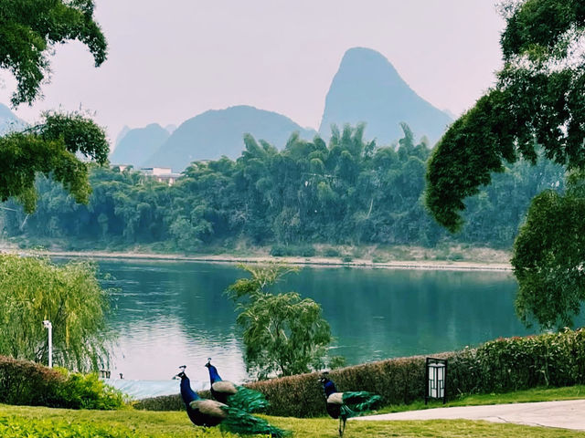 🇨🇳:桂林で泊まる“山水画”の中！