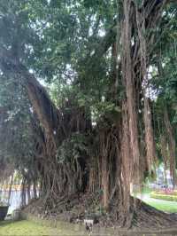 Laid-back Malang