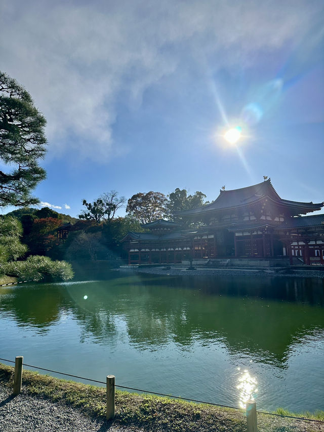 Uji เมืองแห่งชาเขียว