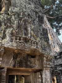 The spectacular Angkor Wat