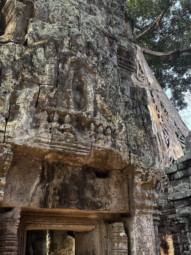 The spectacular Angkor Wat
