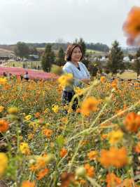 Picturesque Agricultural Theme Park