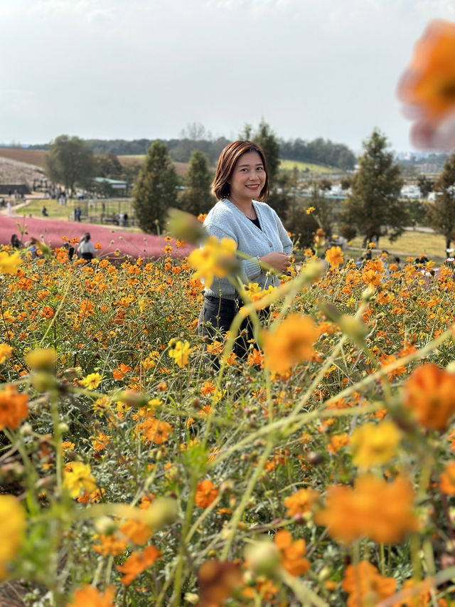 Picturesque Agricultural Theme Park