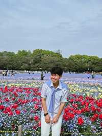 เที่ยวทุ่งดอกไม้ นะบะนะ โนะ ซาโตะ🌷🪻
