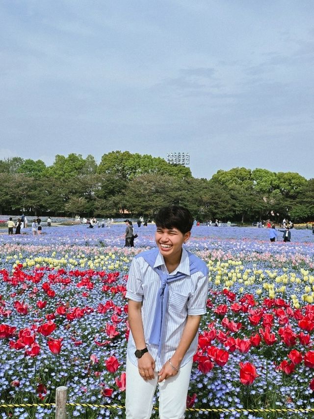 เที่ยวทุ่งดอกไม้ นะบะนะ โนะ ซาโตะ🌷🪻