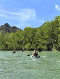 Kilim Geoforest Park Island Hopping: A Journey Through Langkawi’s Natural Wonders 
