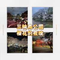 三輪南公園•夜櫻下的浪漫