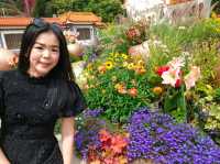 Shenzhen Fairy Lake Botanical Garden 仙湖植物園
