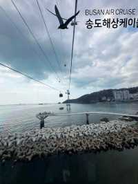 Bloom, Breeze & a Bit of Roar: Discover the Charm of Songdo Cable Car