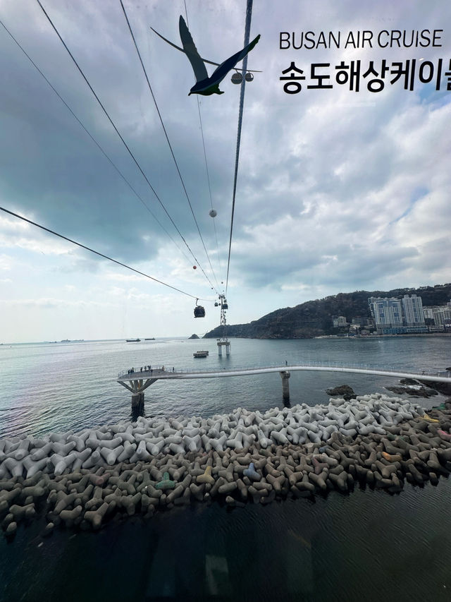 Bloom, Breeze & a Bit of Roar: Discover the Charm of Songdo Cable Car