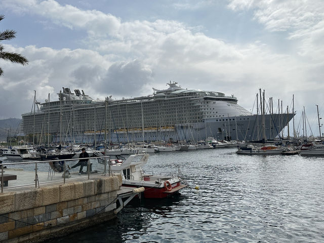 Love cruising