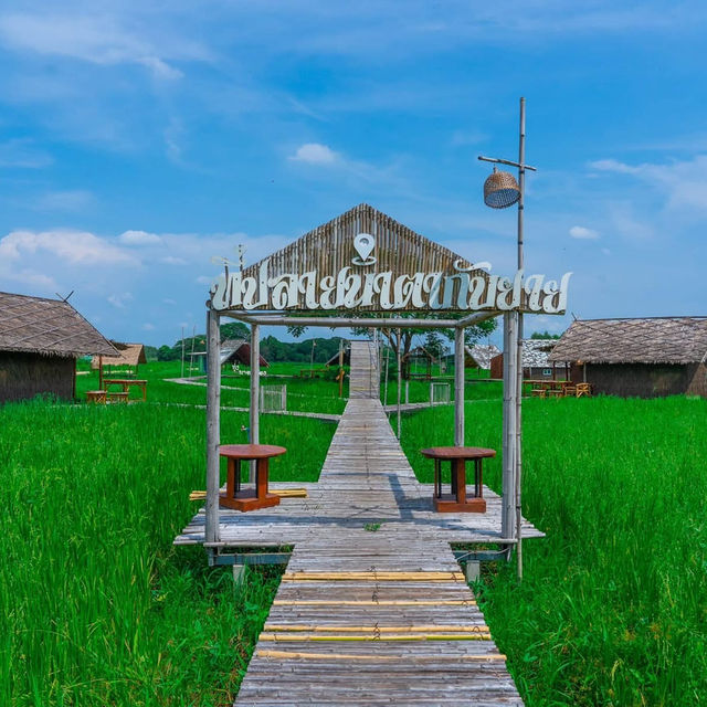 ที่ปลายนาตากับยาย อุทัยธานี