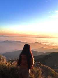 From Forest Trails to Cloudy Peaks: Mt. Pulag Magic