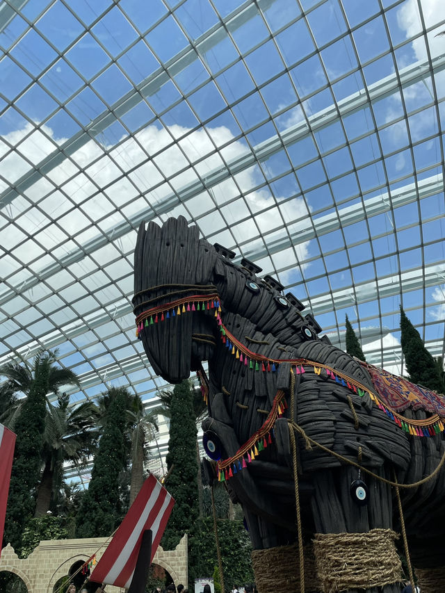 🇸🇬 Tulipmania is back in Flower Dome ! 