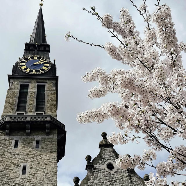 Spring Blooms in Zurich: A Floral Wonderland