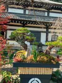 Kamakura 1 day trip from Tokyo🇯🇵