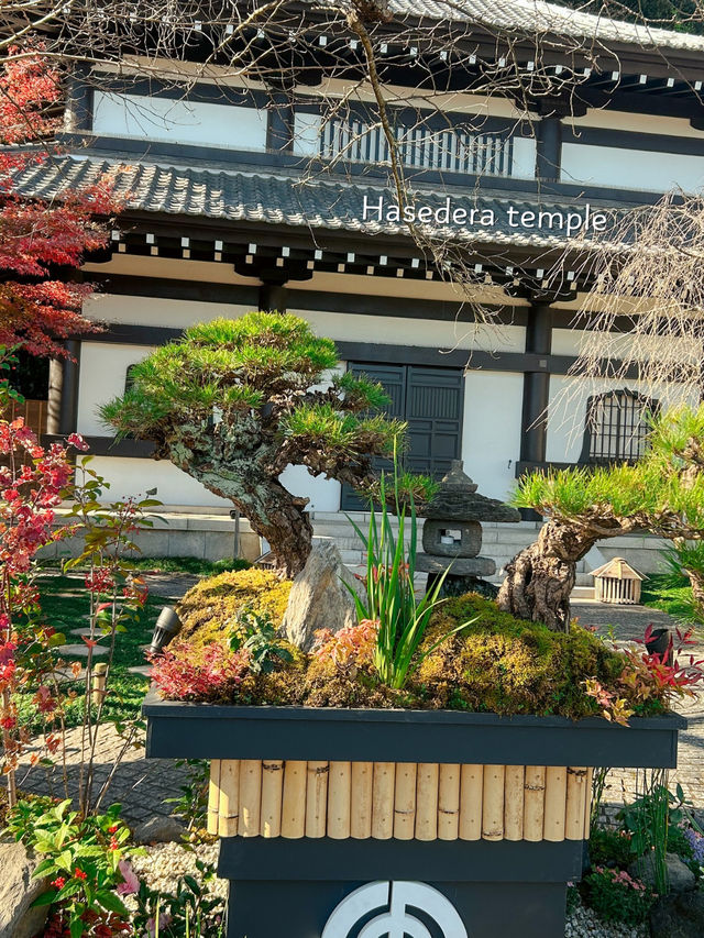Kamakura 1 day trip from Tokyo🇯🇵