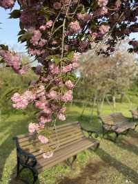【都内で自然さんぽ】神代植物公園