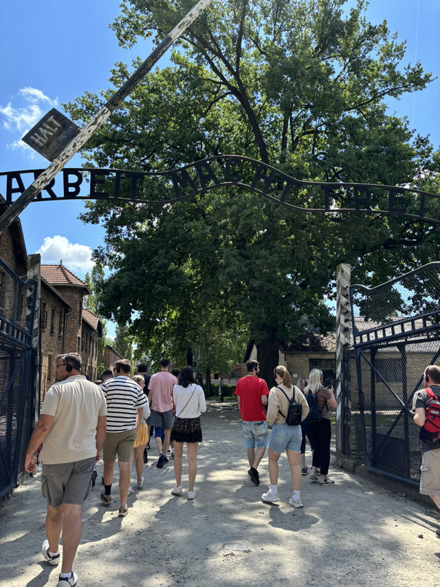 走進奧斯威辛：一場直擊心靈的震撼旅程
