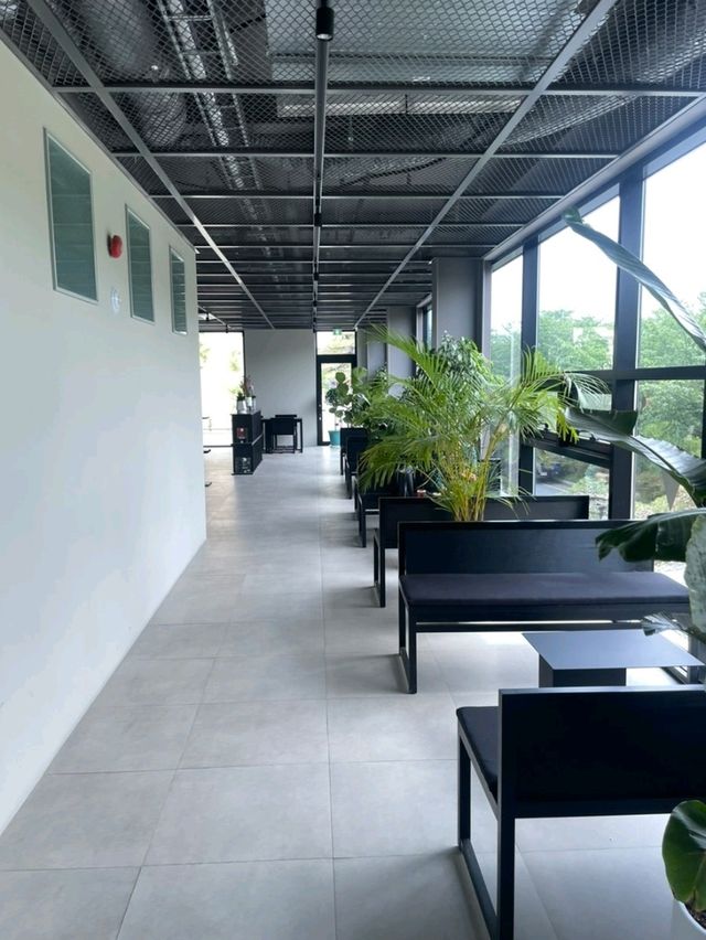 [🇰🇷チャンニョン] 菜の花とアートに包まれる、フォトスポット満載の「ナンマミュージアムカフェ」