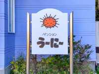 ウニ三昧の宿泊体験✨ペンション「う～に～」で味わう贅沢島グルメ