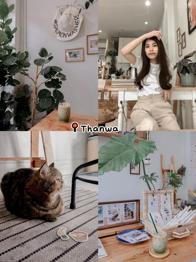 มัดรวมคาเฟ่สำหรับทาสแมว  พาไปคาเฟ่เด็กเอนฯ🐈