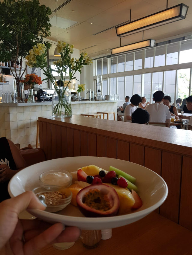🥞 “전설의 리코타 팬케이크, 도쿄 브런치의 정석 – bills 오모테산도점”