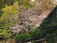 北九州冷門地區