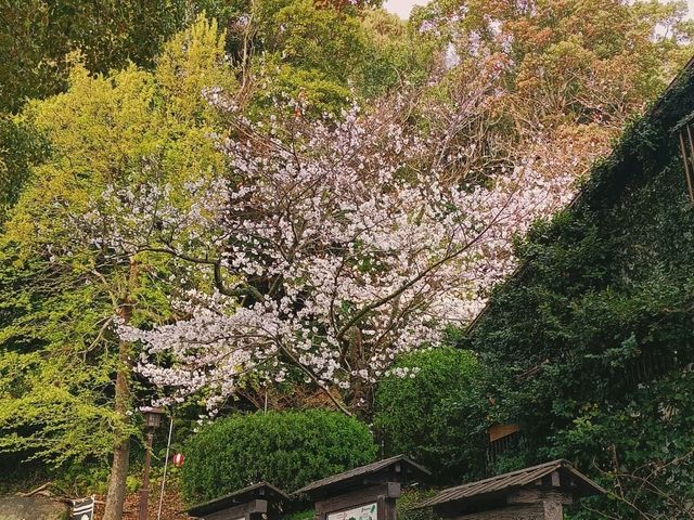 北九州冷門地區