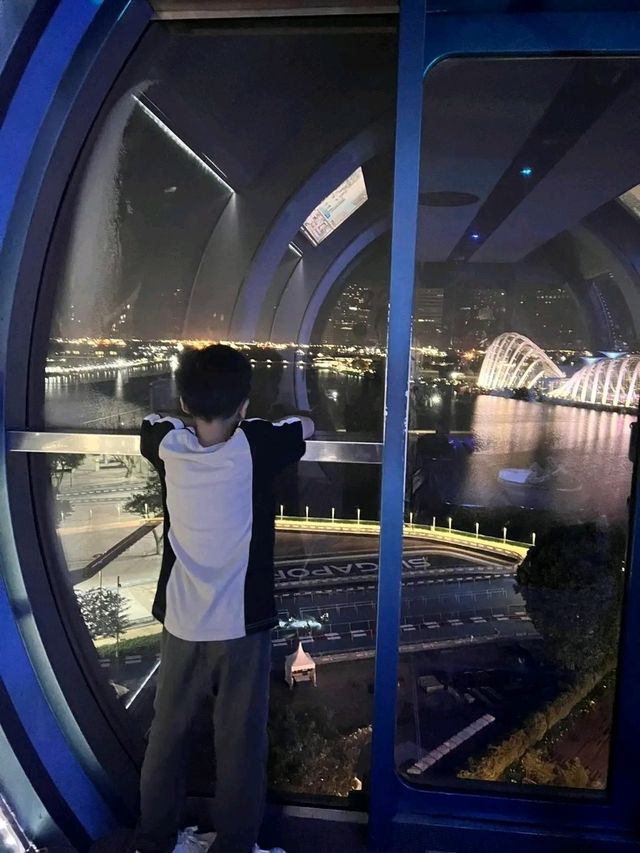 Above the City: A Breathtaking Ride on the Singapore Flyer