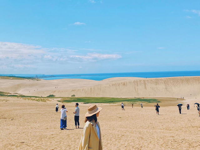 Bảo tàng cát - Cồn cát Tottori