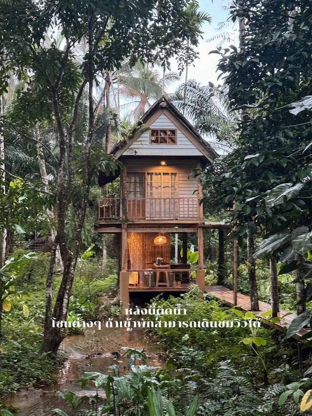 รีวิวที่พักบ้านไร่ไออรุณ จังหวัดระนอง