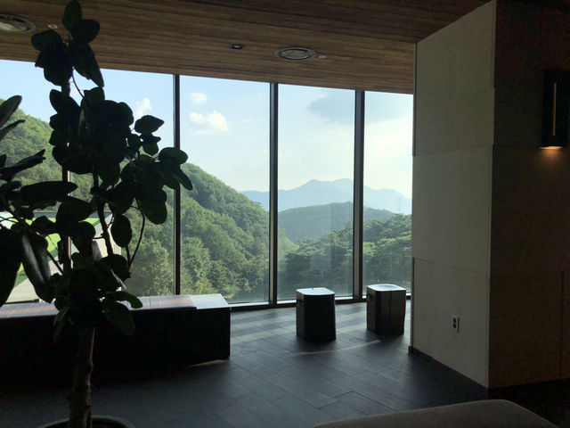 제천에서 만나는 힐링 여정🍂 묵은지 닭도리탕부터 성지 산책, 숲속 리조트까지