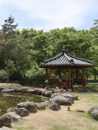 경주에서 제일 좋았던 무료 산책 정원 외나무 포토존 놓치지마세요🌳