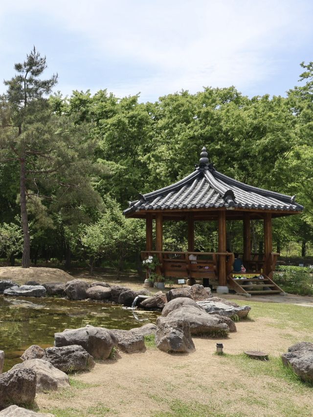 경주에서 제일 좋았던 무료 산책 정원 외나무 포토존 놓치지마세요🌳