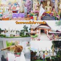 ไหวพระเก้าวัด วัดเจดีย์ซาวหลัง ลำปาง