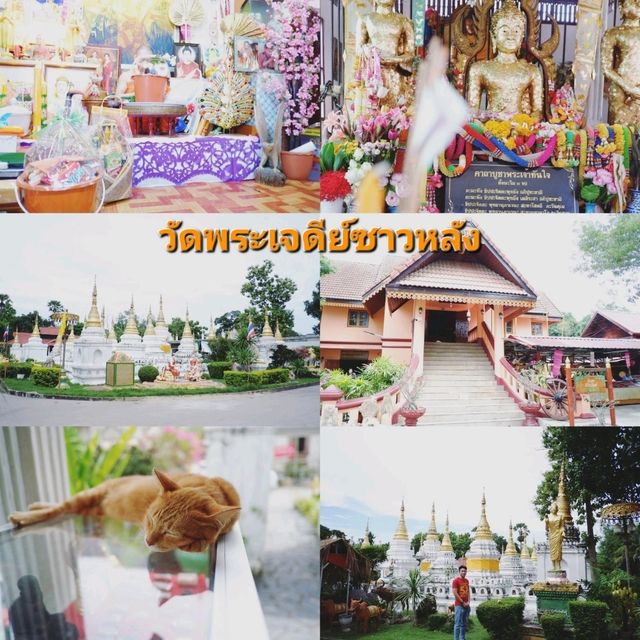 ไหวพระเก้าวัด วัดเจดีย์ซาวหลัง ลำปาง