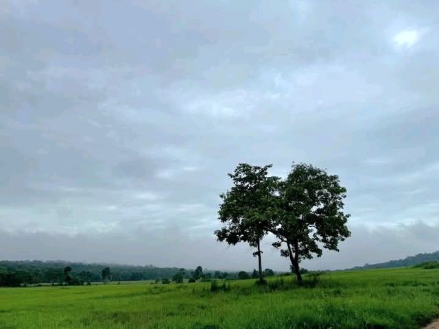 เขตรักษาพันธุ์สัตว์ป่าภูเขียว