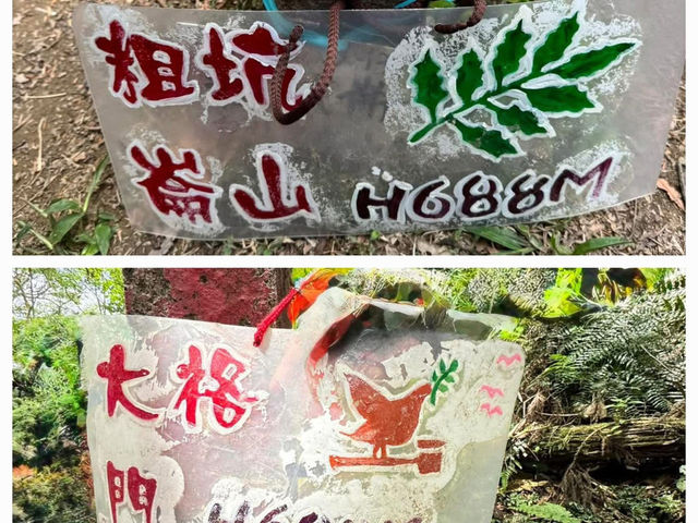 走過茶鄉與花香的雲海山～獵狸尖山連走
