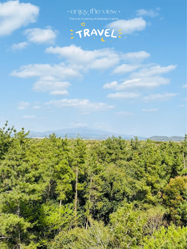 Great Walk in Jeju's Gotjawal Provincial Park! 