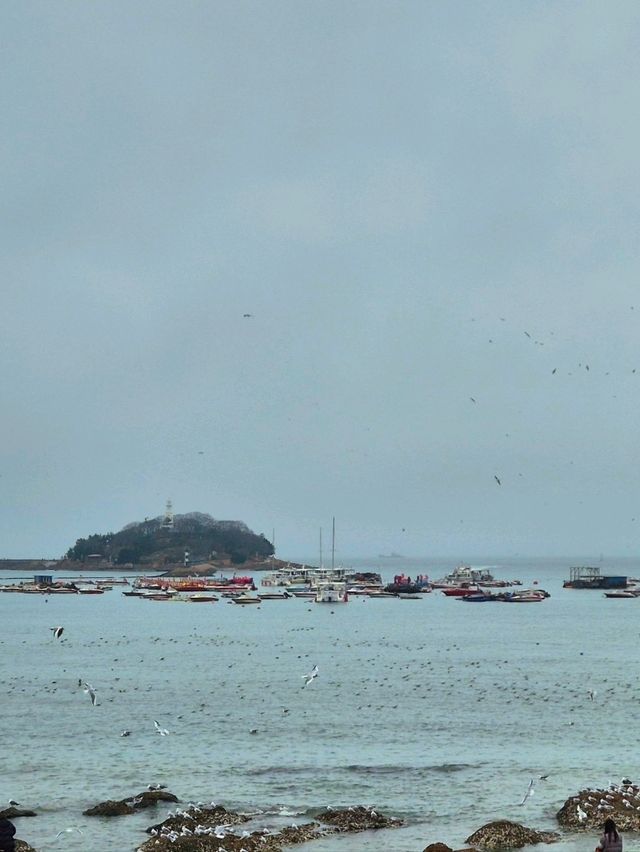 칭다오 바다위의 잔교(잔차오)🇨🇳