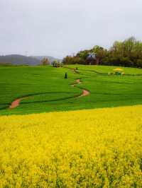 Boryeonara academy farm