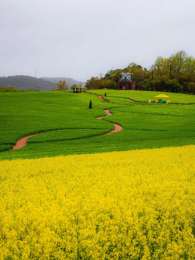 Boryeonara academy farm