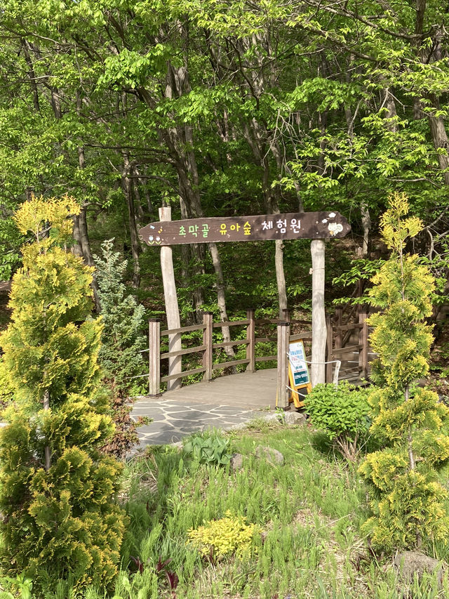 아기랑 자연탐구 하며 시간 순삭되는 곳, 초막골생태공원