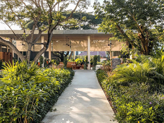 THE STANDARD HUA HIN 💛🤍