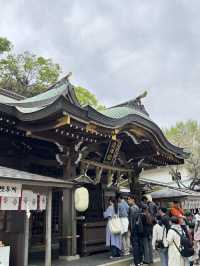江島神社的洗錢大法⛩️