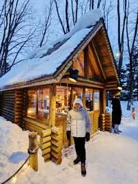 Frozen Beauty & Fairy Lights: Winter Road Trip from Asahikawa to Biei & Furano
