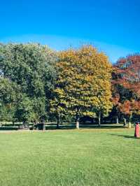 Nottingham Unveiled: Legends, Castles, and Creative Corners