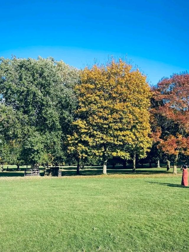 Nottingham Unveiled: Legends, Castles, and Creative Corners